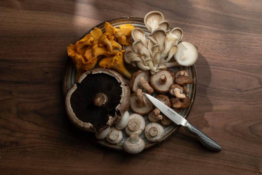 Soppguiden – 5 gode matsopper for nybegynnere