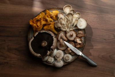 Soppguiden – 5 gode matsopper for nybegynnere